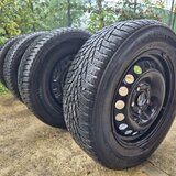 Vand set complet roti Iarna Anvelope NOKIAN (195/65 R15) + Jante Otel